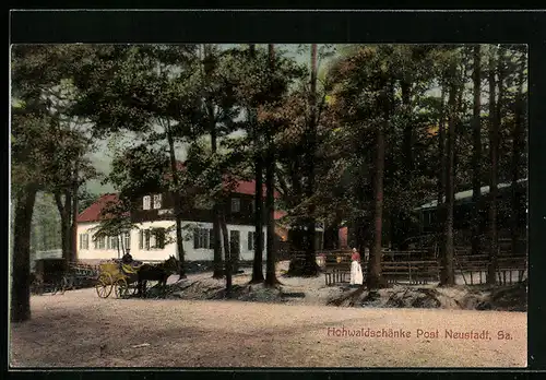 AK Neustadt i. Sa., Hohwaldschänke mit Pferdekutsche