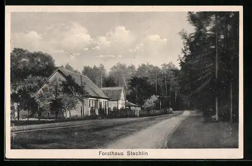AK Stechlin, Forsthaus mit Bäumen