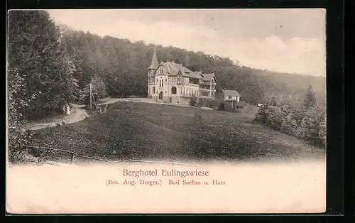AK Bad Sachsa a. Harz, Berghotel Eulingswiese