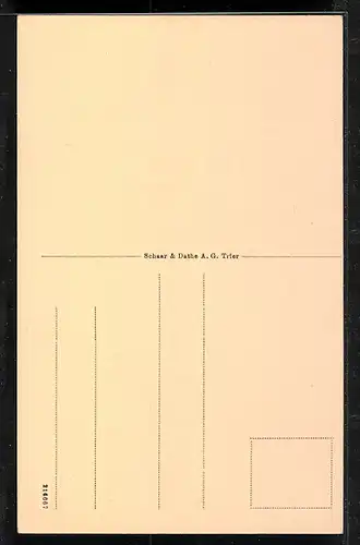 AK Bacharach /Rh., Ortsansicht und St. Nicolauskirche