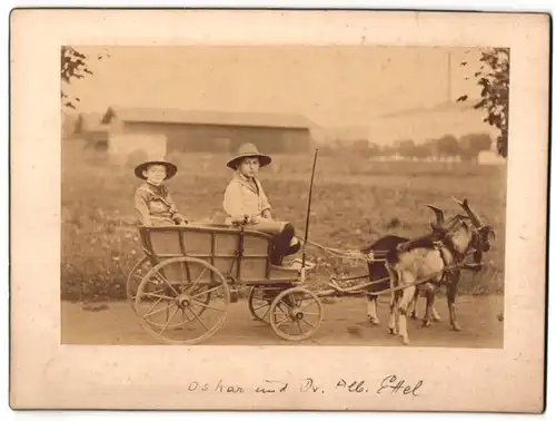 Fotografie Knaben Oskar & Albert Ettel mit Ziegengespann / Ziegenkutsche