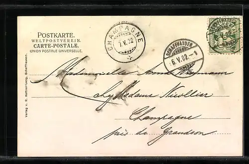 AK Schaffhausen, Totalansicht, Birkenhain