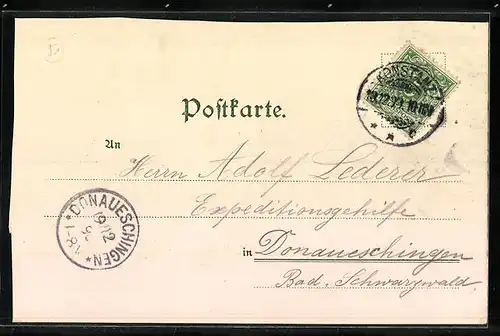 Lithographie Konstanz, Gesamtansicht, Konstanz Münster