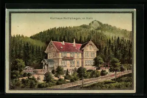 AK Wolfshagen /Harz, Kurhaus mit Umgebung