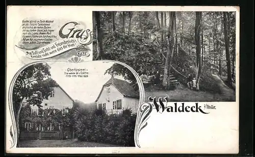 AK Waldeck /Th., Oberförsterei, Waldpartie mit Treppe