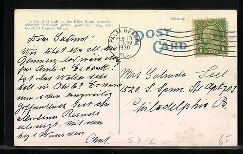 AK Palm Beach, Florida, Royal Poinciana Tree, Riter Estate Grounds