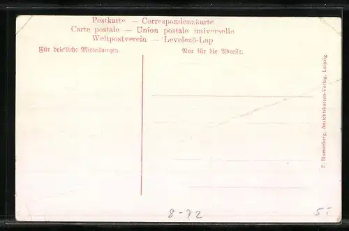 AK Original Ungarische Tamburitza Damenkapelle mit Gesang-Ensemble, Trachtenkapelle