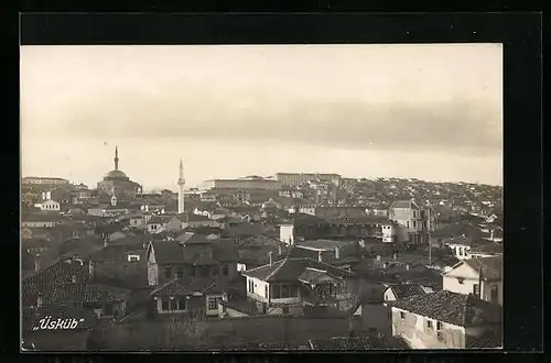 Foto-AK Üsküb, Panorama
