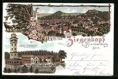 Lithographie Blankenburg / Harz, Hotel Ziegenkopf, Gesamtansicht