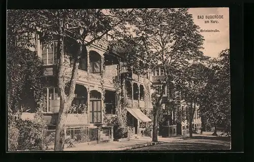 AK Bad Suderode am Harz, Brinkstrasse mit Bäumen