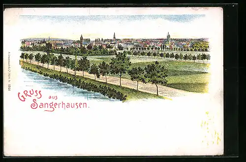 Lithographie Sangerhausen, Teilansicht