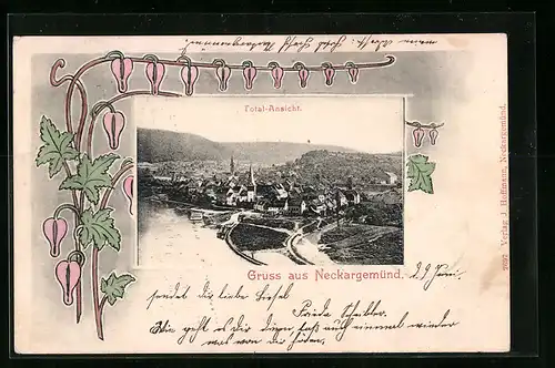 AK Neckargemünd, Totalansicht