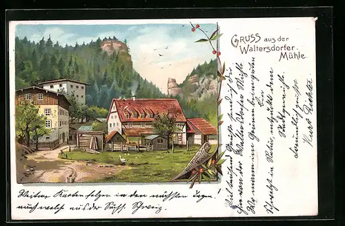 AK Waltersdorfer Mühle, Teilansicht im Wald