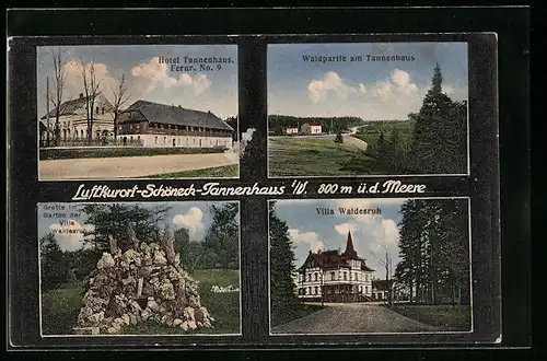 AK Schöneck-Tannenhaus, Waldpartie am Tannenhaus