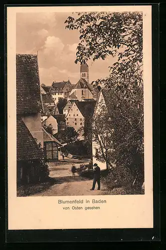 AK Blumenfeld i. Baden, Ortsansicht von Osten gesehen
