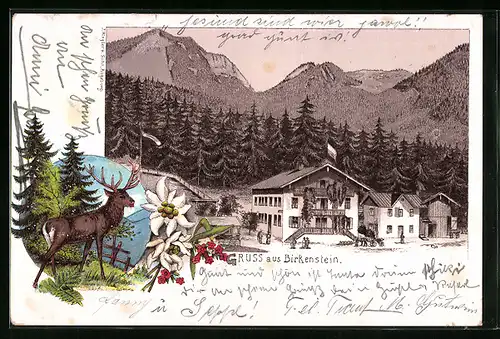 Lithographie Birkenstein, Gasthaus mit Bergpanorama
