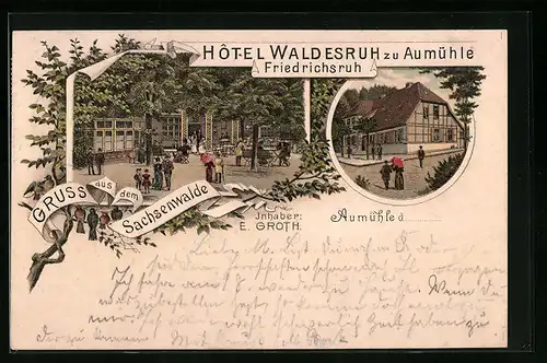Lithographie Aumühle, Hôtel Waldesruh, Inhaber: E. Groth