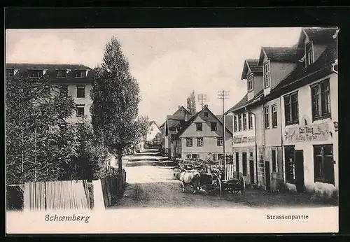 AK Schoemberg, Strassenpartie mit Gasthaus Lamm