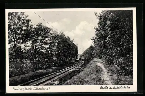 AK Buckow /Märk. Höhenland, Partie a. d. Kleinbahn