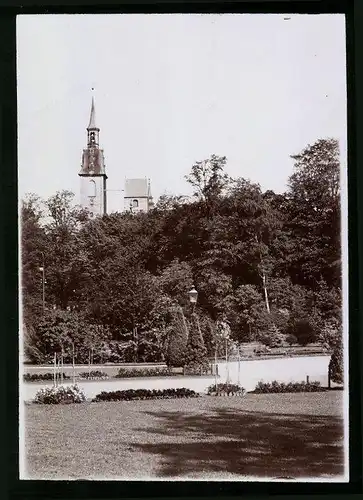 Fotografie Brück & Sohn Meissen, Ansicht Freiberg i. Sa., Partie im Albertpark mit Blick zur Kirche