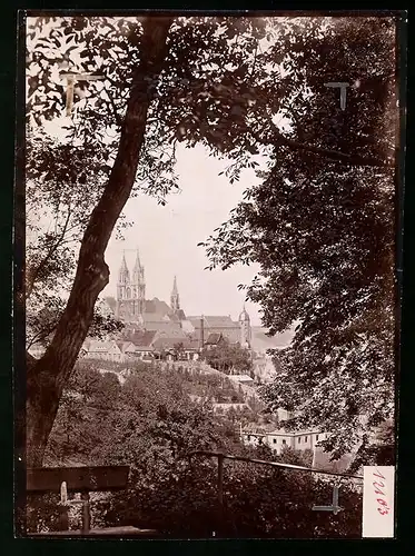 Fotografie Brück & Sohn Meissen, Ansicht Meissen i. Sa., Blick aus dem Wald nach dem Burgberg mit Albrechtsburg