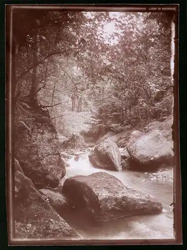 Fotografie Brück & Sohn Meissen, Ansicht Bad Berggiesshübel, Flusspartie bei Zwiesel