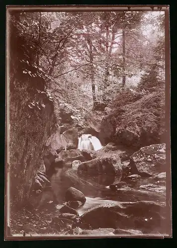 Fotografie Brück & Sohn Meissen, Ansicht Bad Berggiesshübel, Flusspartie im Gottleubatal