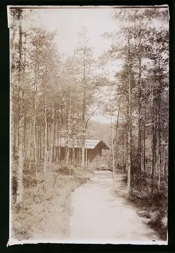 Fotografie Brück & Sohn Meissen, Ansicht Mühlhausen i. V., Blick auf die Julius Hütte im Wald des Genesungsheim