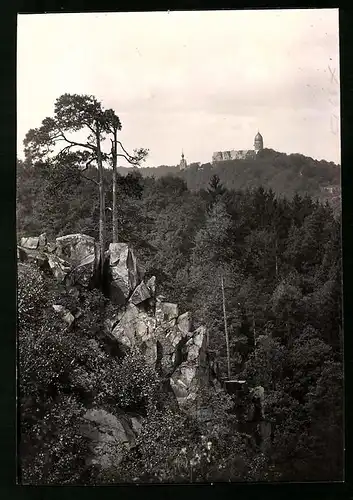 Fotografie Brück & Sohn Meissen, Ansicht Rochsburg, Blick über den Wald nach dem Schloss