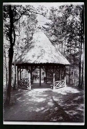Fotografie Brück & Sohn Meissen, Ansicht Frankenberg i. Sa., Partie am Tempel im Lützeltal