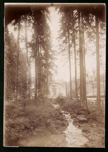 Fotografie Brück & Sohn Meissen, Ansicht Marienbad, Blick aus dem Wald auf die Waldquelle