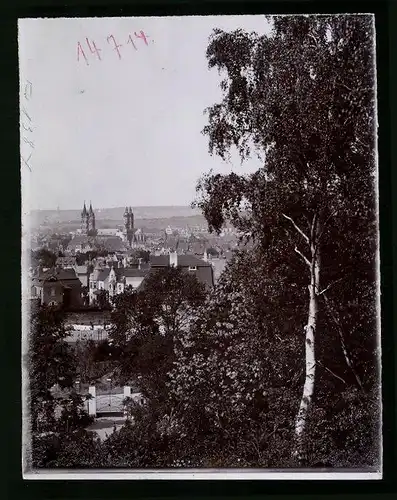 Fotografie Brück & Sohn Meissen, Ansicht Naumburg / Saale, Blick vom Bürgergarten nach der Stadt