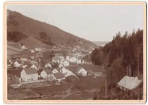 Fotografie Brück & Sohn Meissen, Ansicht Rothenthal b. Olbernhau, Blick auf den Ort mit Wohnhäusern
