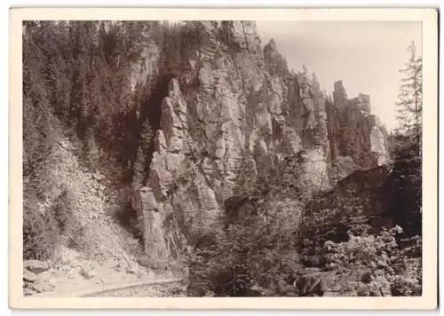 Fotografie Brück & Sohn Meissen, Ansicht Olbernhau / Erz., Partie an der Teufelsmauer im Katzensteintal