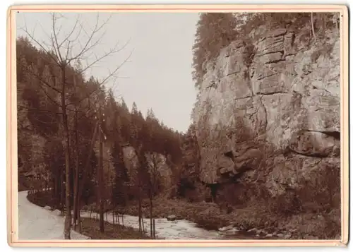 Fotografie Brück & Sohn Meissen, Ansicht Olbernhau / Erzg., Partie im Natschungtal mit Flusslauf