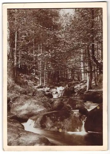 Fotografie Brück & Sohn Meissen, Ansicht Olbernhau / Erzg., Partie im Rungstocktal mit Bachlauf