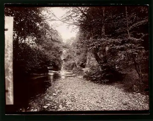 Fotografie Brück & Sohn Meissen, Ansicht Bad Lauterberg, Partie am Fluss des Philosophenweg