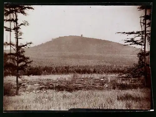 Fotografie Brück & Sohn Meissen, Ansicht Collm b. Oschatz, Blick aus dem Wald nach dem Collmberg