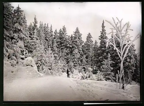 Fotografie Brück & Sohn Meissen, Ansicht Bärenfels i. Erzg., Mann im tiefen Schnee blickt nach dem Ort aus dem Wald