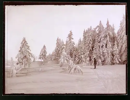 Fotografie Brück & Sohn Meissen, Ansicht Schellerhau, Skifahrer am Waldesrand blickt nach der Ort