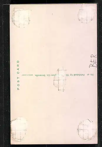 AK Bermuda, Light and Shadow