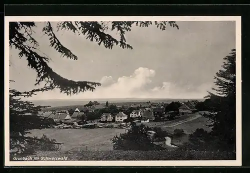 AK Grunbach /Schwarzwald, Ortsansicht mit Fluss