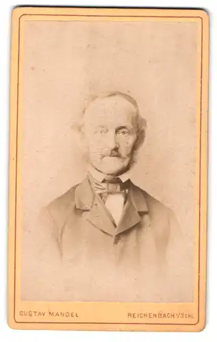 Fotografie Gustav Mandel, Reichenbach i. Schl., Älterer Herr im Anzug mit Fliege