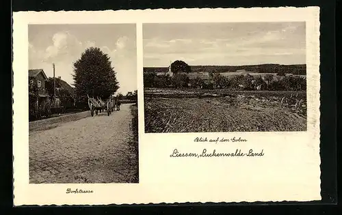 AK Liessen bei Luckenwalde, Dorfstrasse und Holm