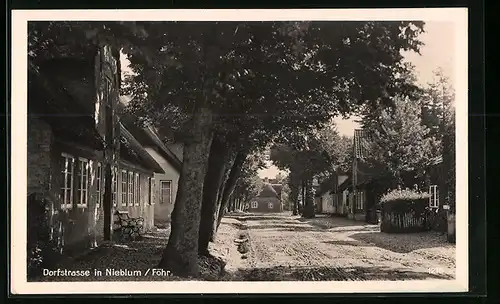 AK Nieblum /Föhr, Blick in die Dorfstrasse