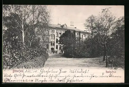 AK Bitterfeld, Realschule