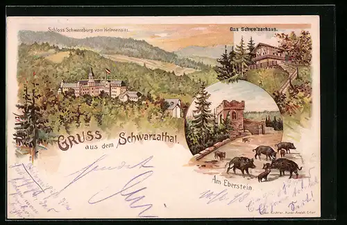 Lithographie Schwarzburg /Schwarzathal, Schloss Schwarzburg vom Helenensitz, Das Schweizerhaus, Am Eberstein