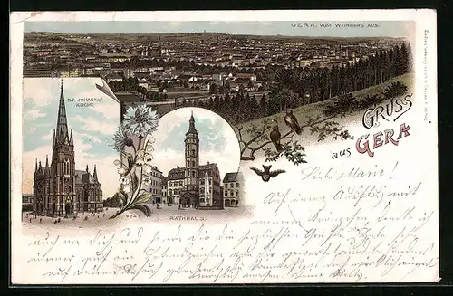 Lithographie Gera, Teilansicht vom Weinberg aus, St. Johannis-Kirche, Rathaus