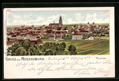 Lithographie Regensburg, Panoramablick auf die Stadt