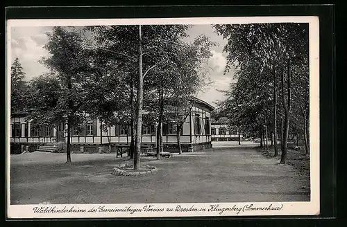 AK Klingenberg, Waldkinderheime des Gemeinnützigen Vereins zu Dresden